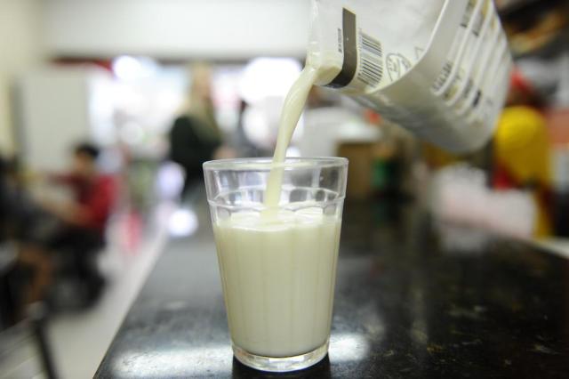 Preço do leite sobe e melhora renda para produtor rural de Santa Catarina