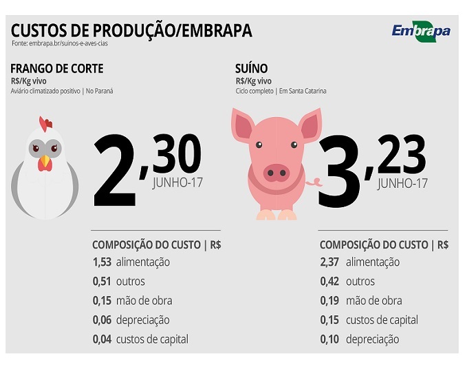 Custos de produção de suínos e de frangos de corte reduzem 30% em 12 meses