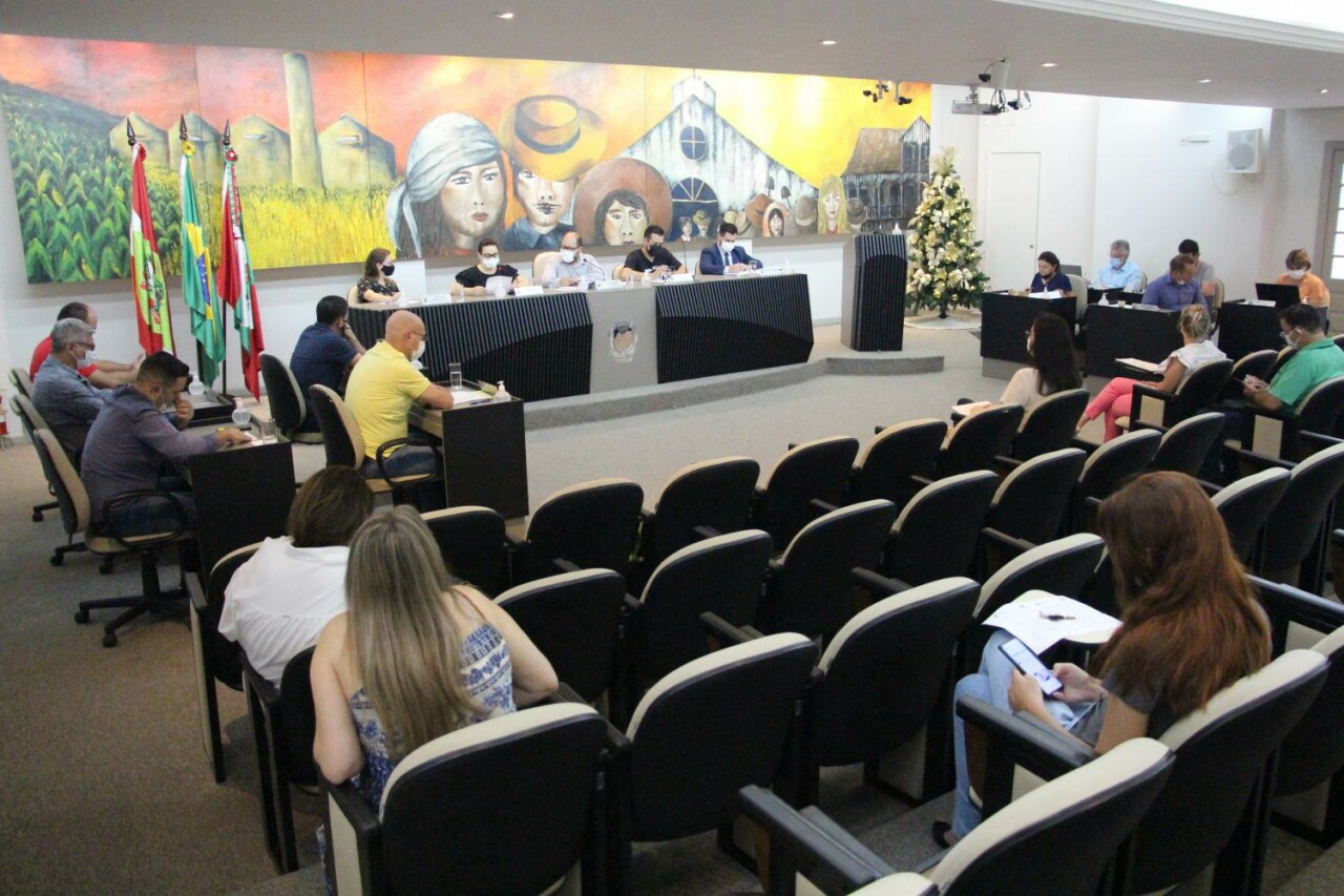 OUÇA: Vereadora pede ampliação da decoração natalina para os distritos