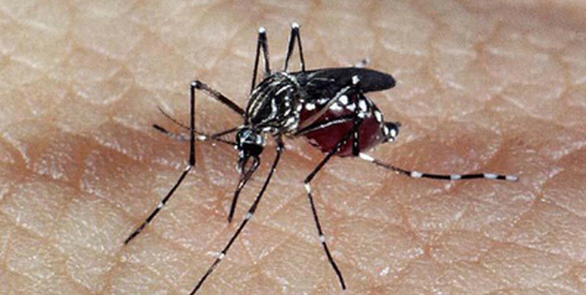 Dive descarta para dengue segunda morte  de paciente de Seara