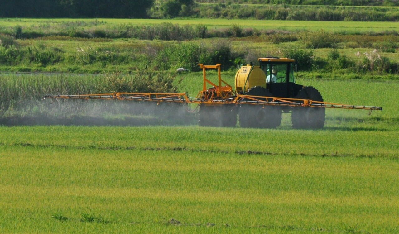 Ministério da Agricultura registra novos defensivos agrícolas para controle de pragas na agricultura