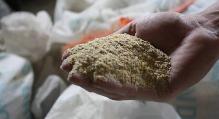 Frango: farelo de soja fica mais caro para o avicultor; milho segue estável