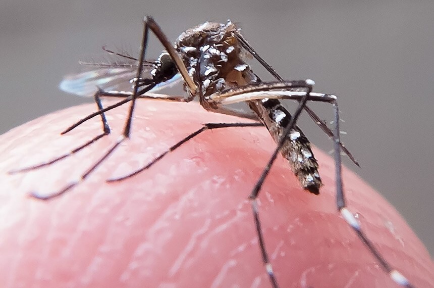 Alto Uruguai já passa de 1220 casos prováveis de dengue no ano