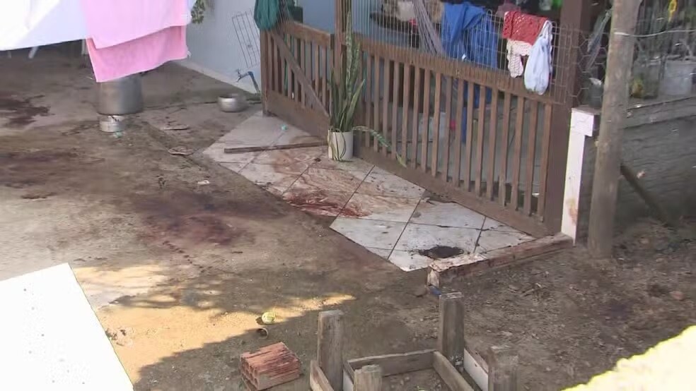 Quatro pitbulls matam homem em quintal de casa em Florianópolis