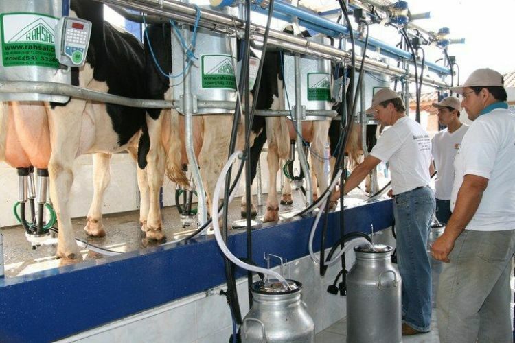 Japão vai voltar a comprar leite do Brasil 