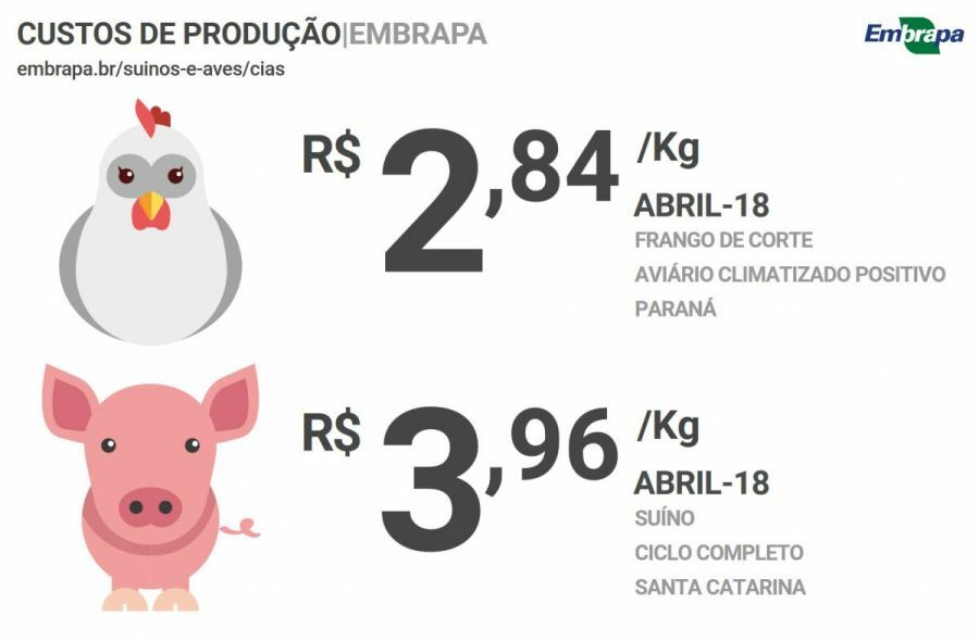 Custo de produção de suínos e de frangos aumenta