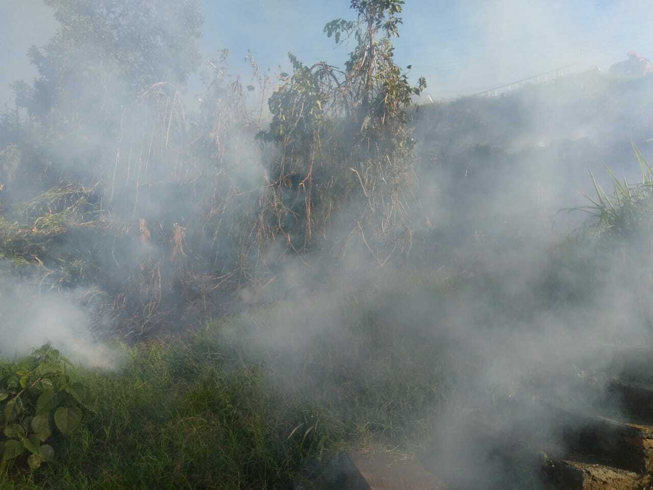 Bombeiros apagam fogo em vegetação no Nações
