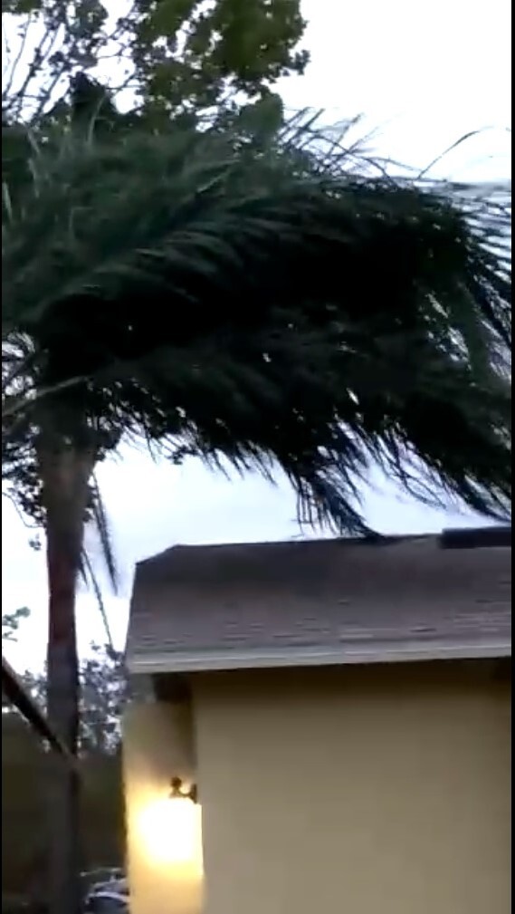 Vídeo feito por concordiense mostra intensidade do vento do furacão Irma