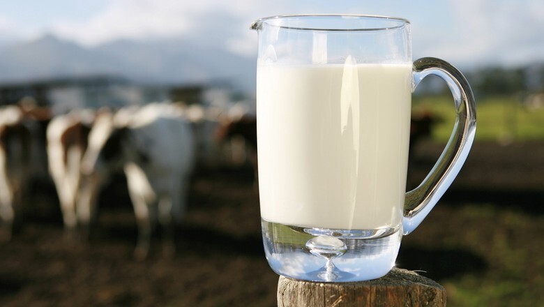 Setor leiteiro preocupado com indefinição do governo