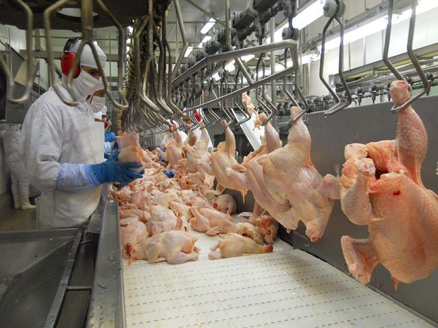 Santa Catarina começa o ano com alta nas exportações de carnes
