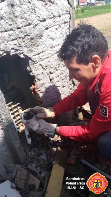 Bombeiros de Irani resgatam animal doméstico de buraco