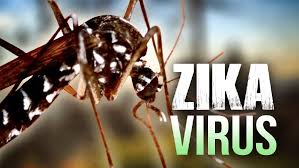 Piratuba registra o primeiro caso de Zika de SC em 2018