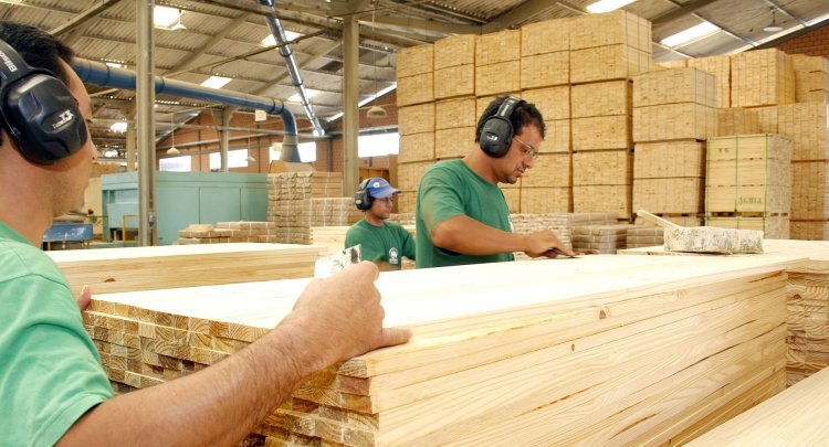 Setores madeireiro e de construção de móveis voltam a contratar em Concórdia