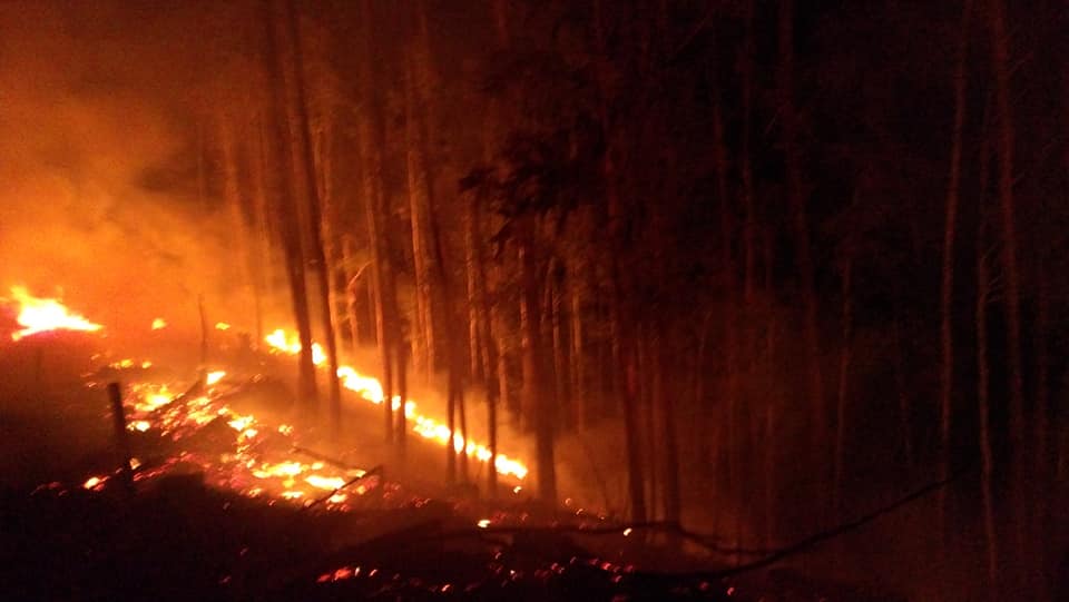 Incêndio florestal em Irani