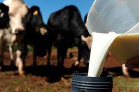 Preço do leite poderá ter quarta queda consecutiva