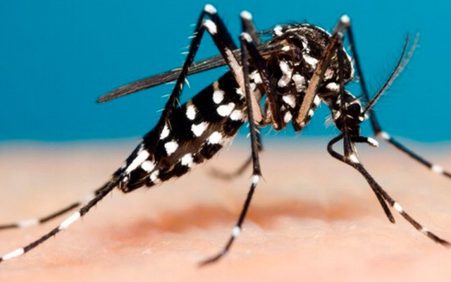 Resultados de exames dão negativo para dengue em paciente de Xavantina