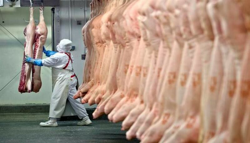 Brasil pode vender mais carne suína para a China, diz CEO da BRF
