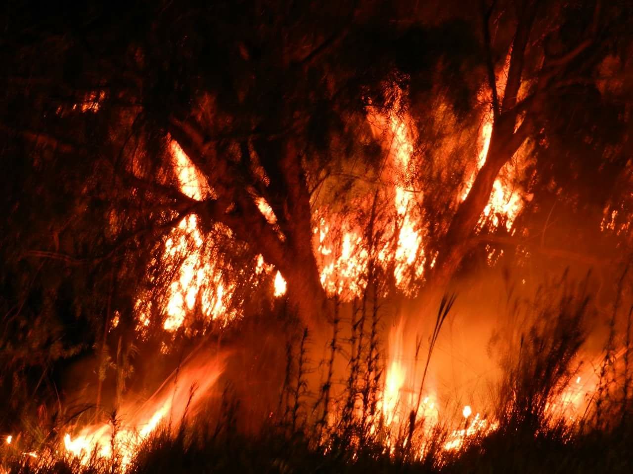 Terceiro incêndio em vegetação no mesmo local no Bom Pastor